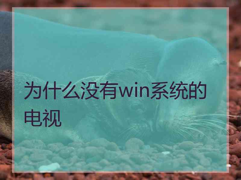 为什么没有win系统的电视