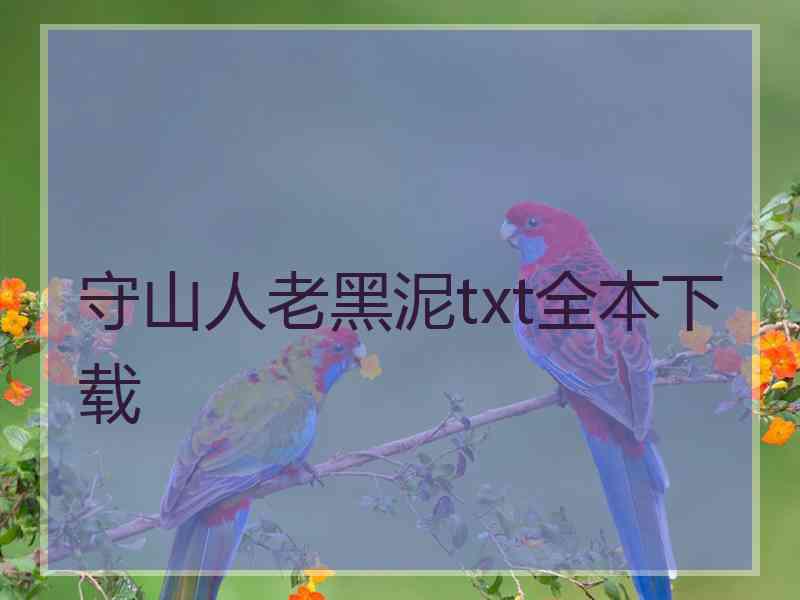 守山人老黑泥txt全本下载