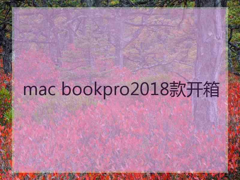 mac bookpro2018款开箱