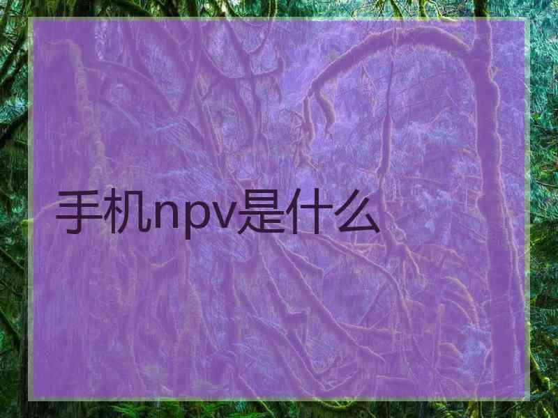 手机npv是什么