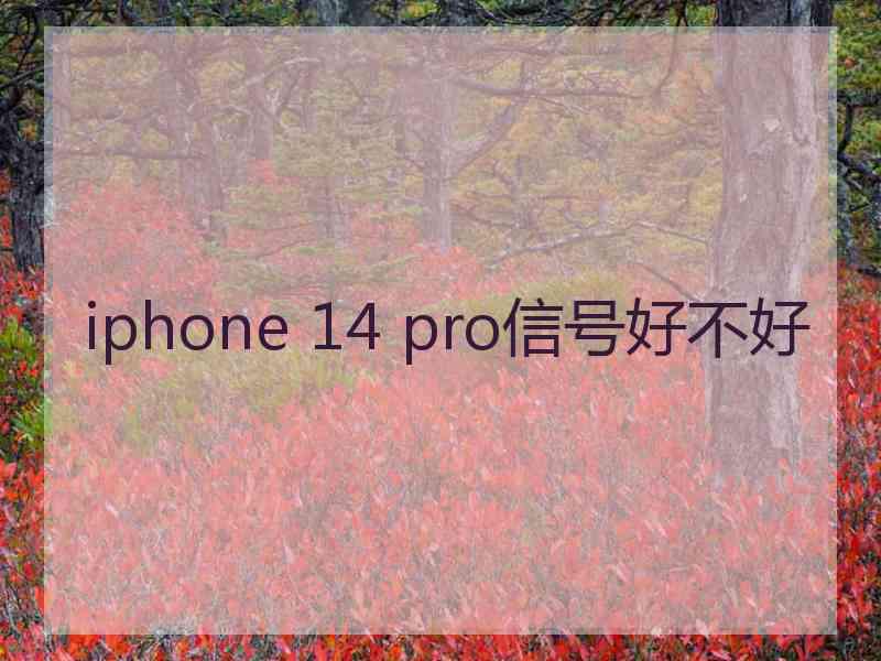 iphone 14 pro信号好不好