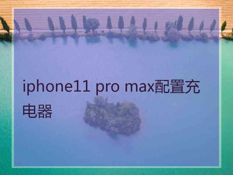 iphone11 pro max配置充电器