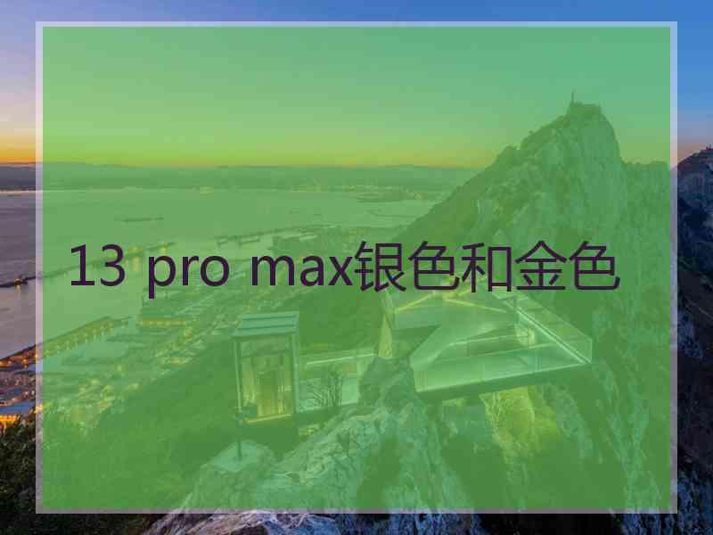 13 pro max银色和金色