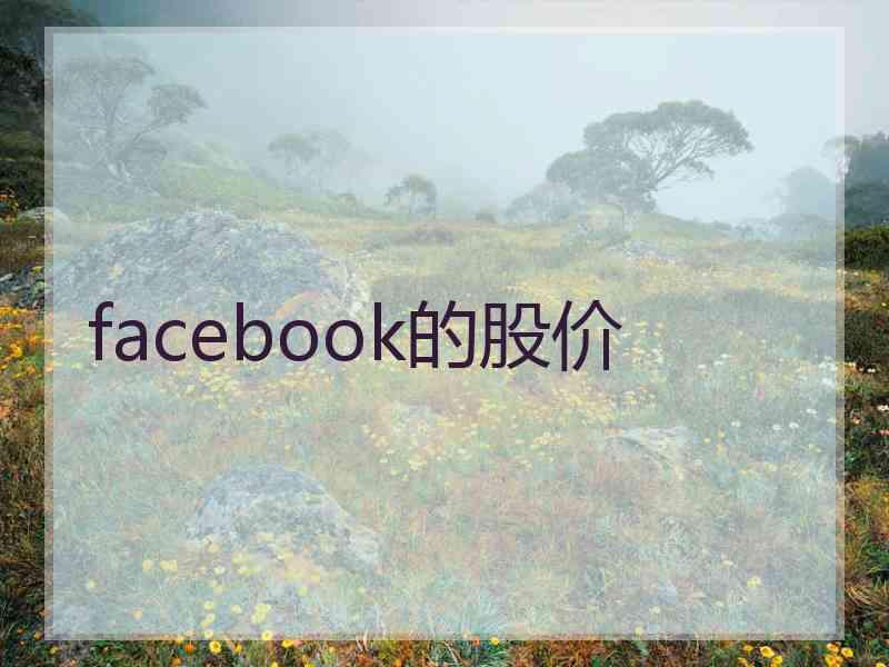 facebook的股价