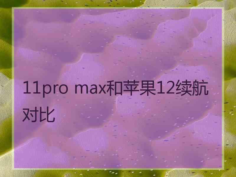 11pro max和苹果12续航对比