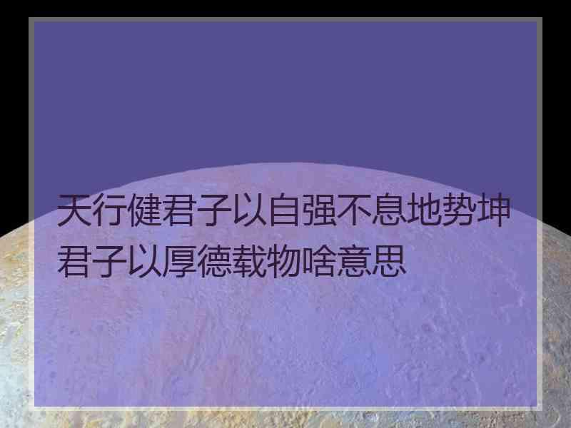 天行健君子以自强不息地势坤君子以厚德载物啥意思