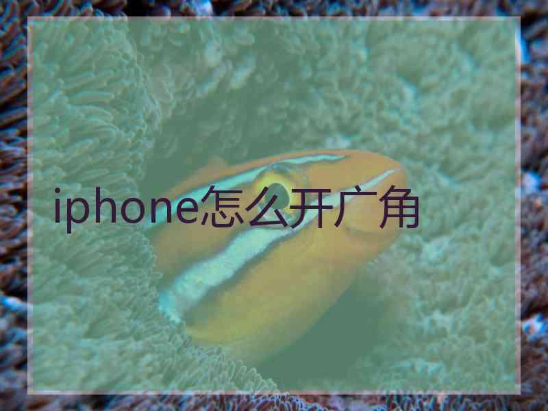 iphone怎么开广角