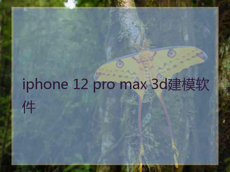 iphone 12 pro max 3d建模软件