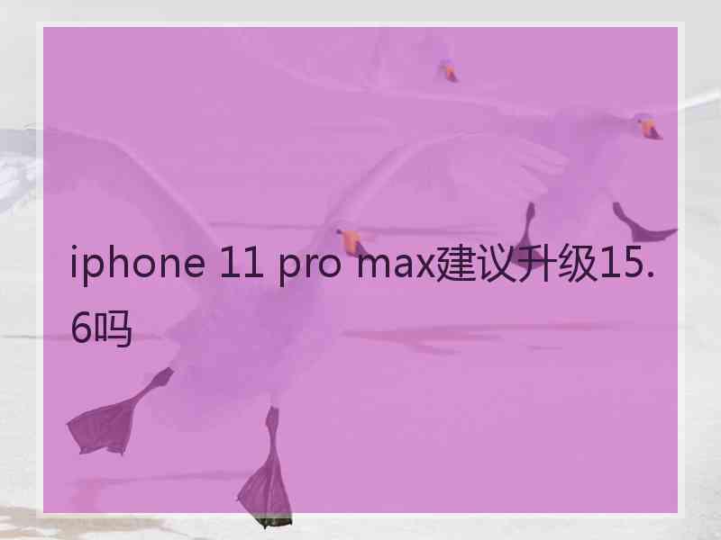 iphone 11 pro max建议升级15.6吗