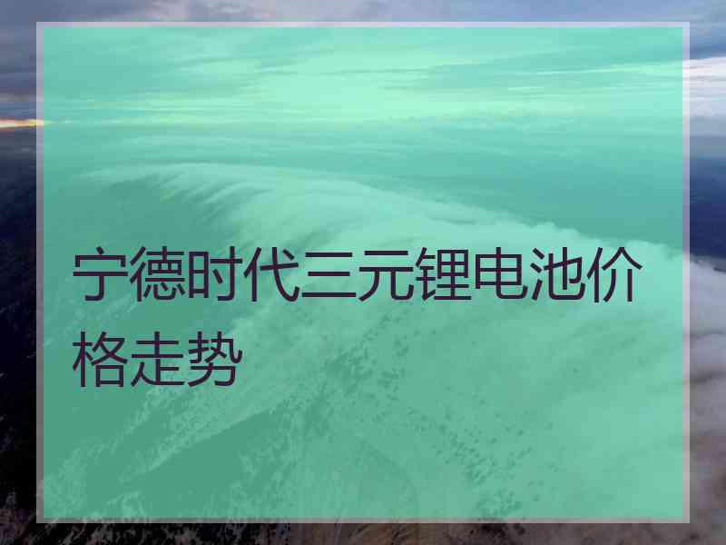 宁德时代三元锂电池价格走势