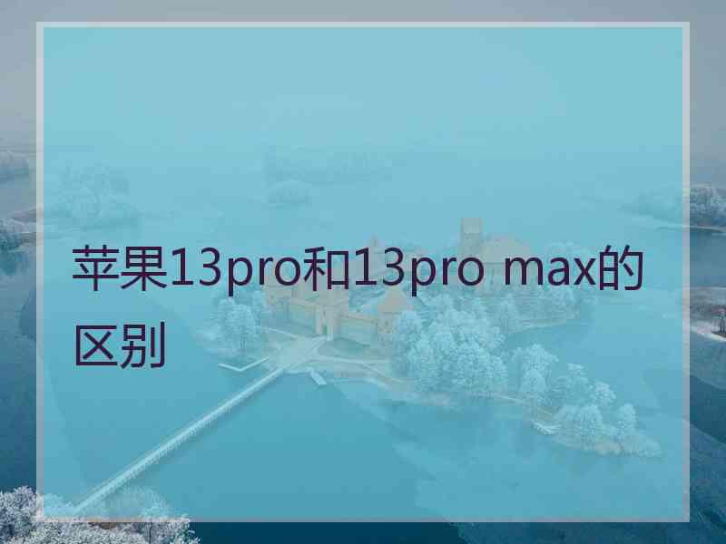 苹果13pro和13pro max的区别