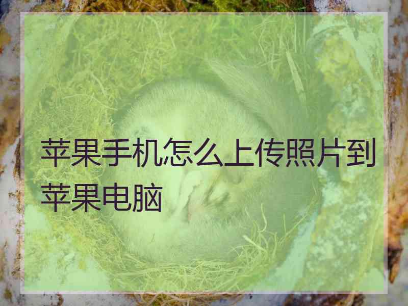 苹果手机怎么上传照片到苹果电脑