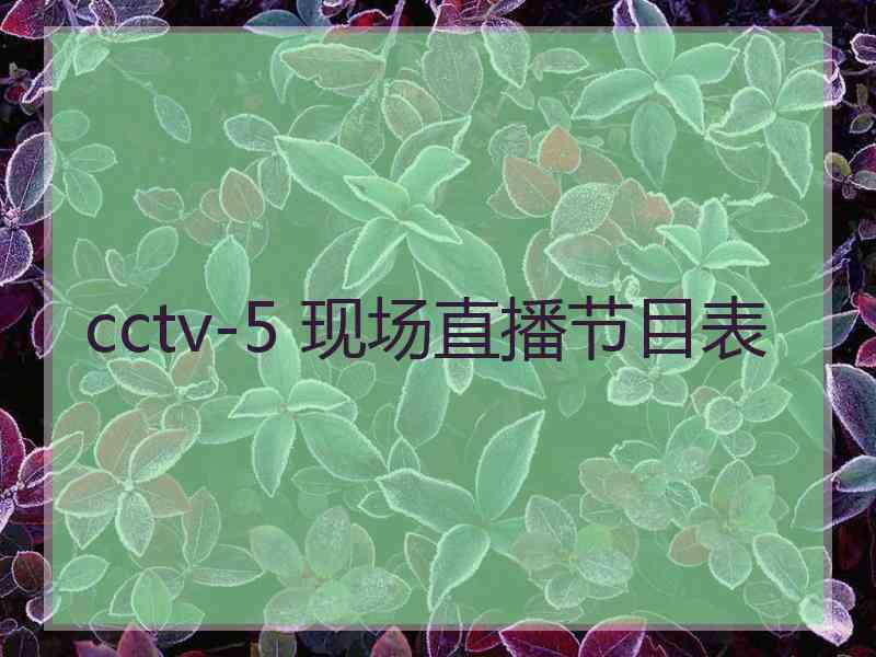 cctv-5 现场直播节目表