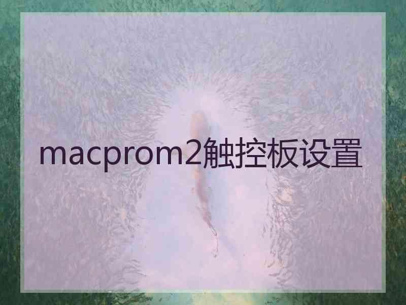 macprom2触控板设置