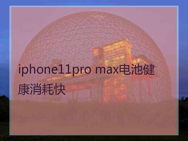 iphone11pro max电池健康消耗快