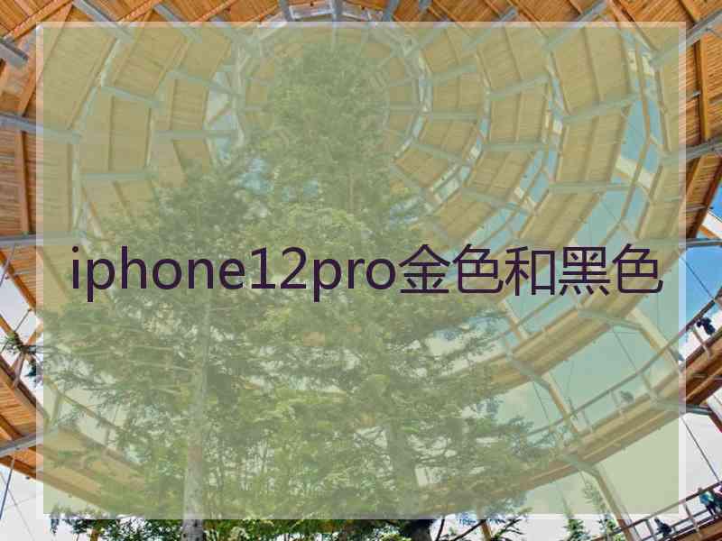 iphone12pro金色和黑色