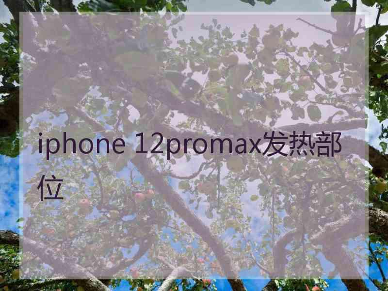 iphone 12promax发热部位