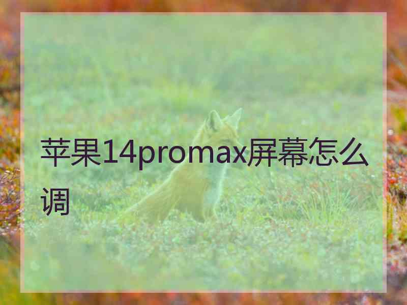 苹果14promax屏幕怎么调