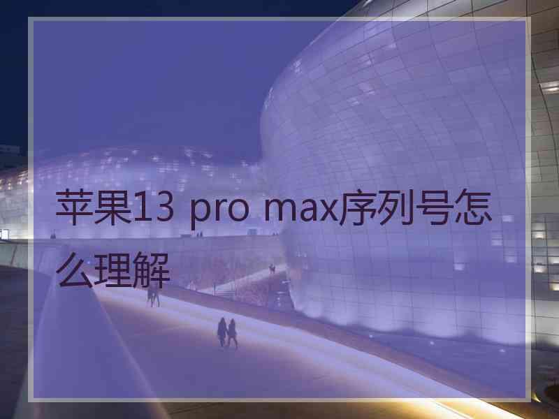 苹果13 pro max序列号怎么理解