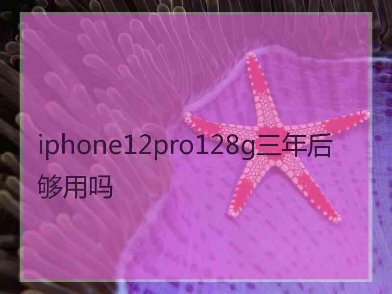 iphone12pro128g三年后够用吗