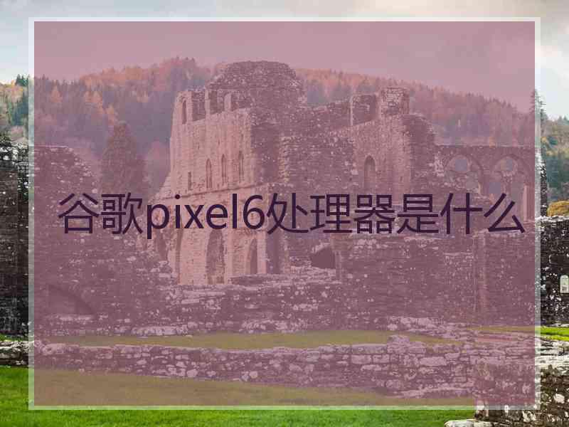 谷歌pixel6处理器是什么