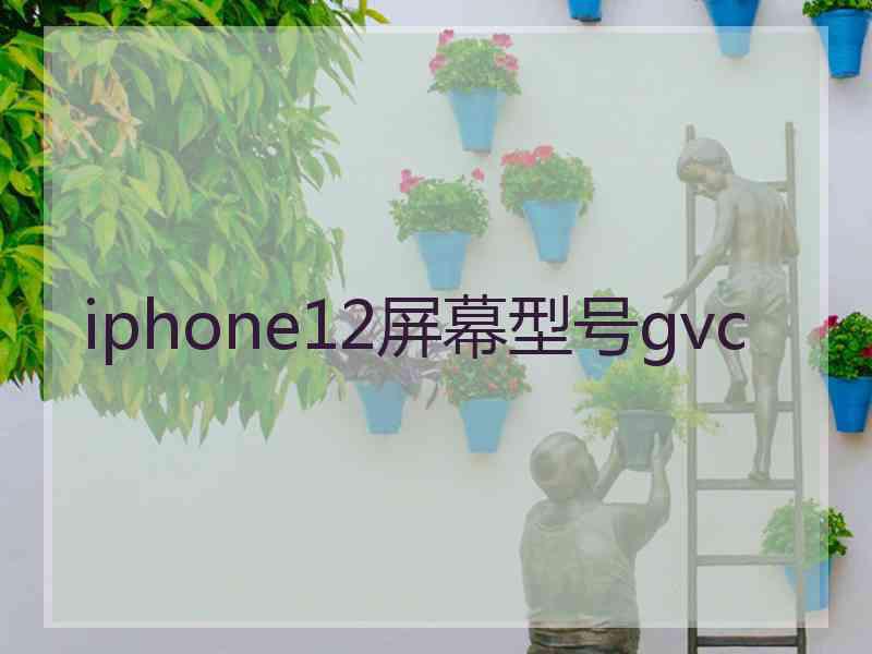 iphone12屏幕型号gvc