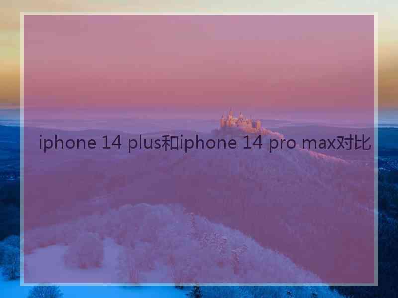 iphone 14 plus和iphone 14 pro max对比