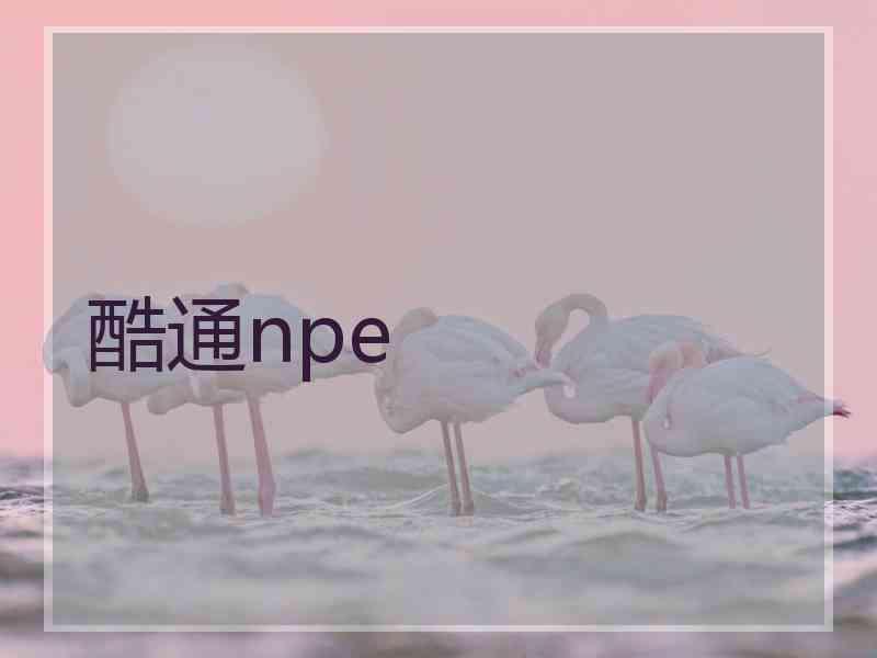 酷通npe