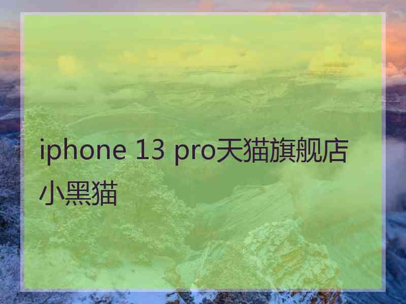 iphone 13 pro天猫旗舰店小黑猫