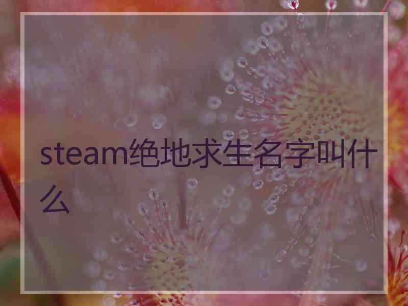 steam绝地求生名字叫什么