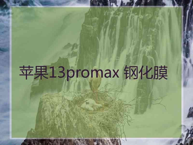 苹果13promax 钢化膜