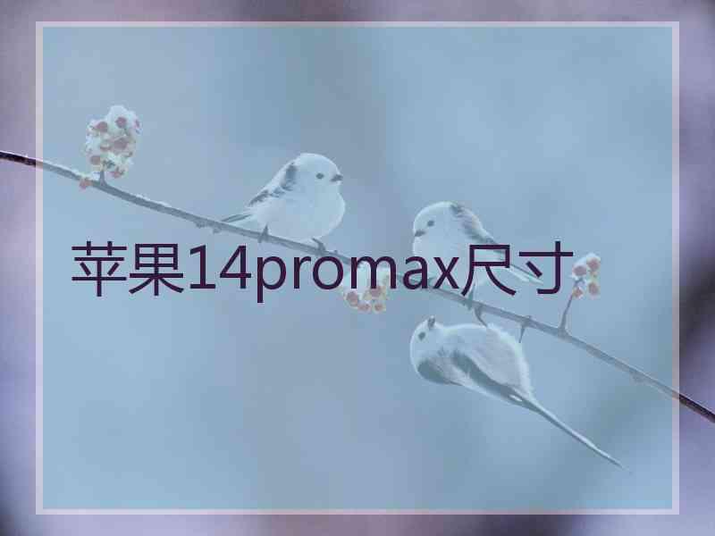 苹果14promax尺寸