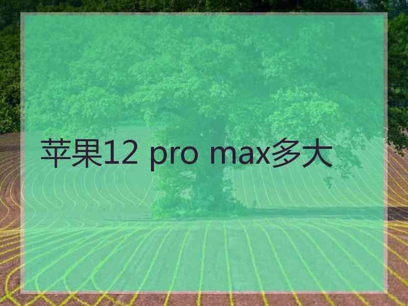 苹果12 pro max多大