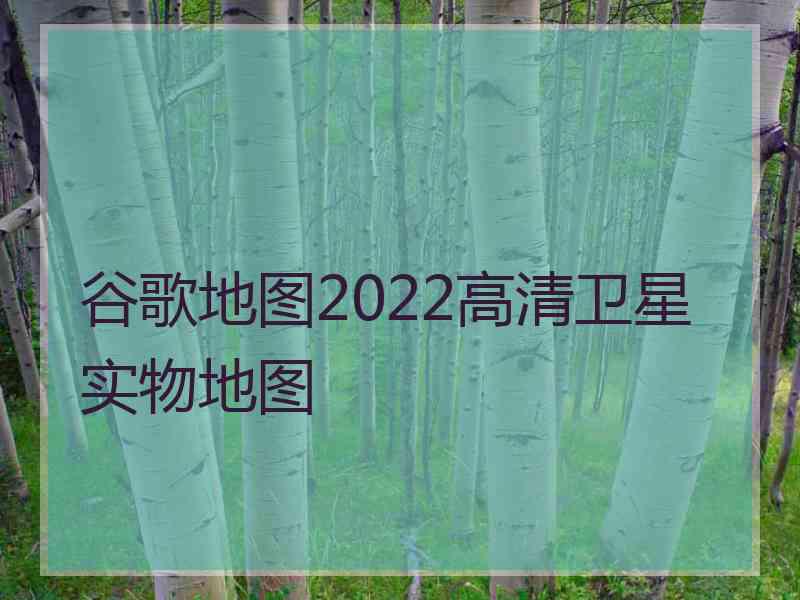 谷歌地图2022高清卫星实物地图