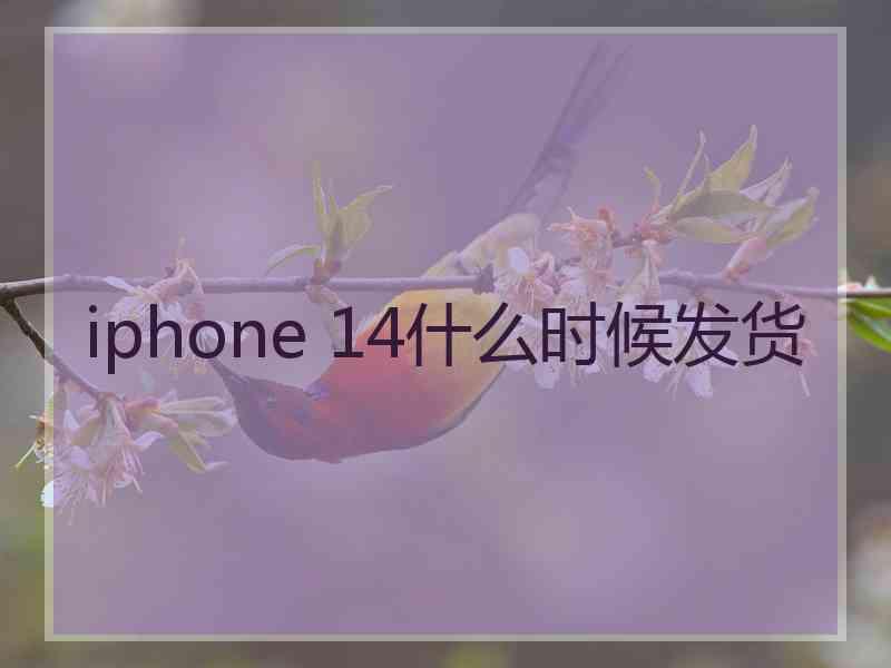 iphone 14什么时候发货