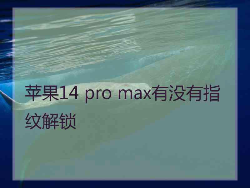 苹果14 pro max有没有指纹解锁