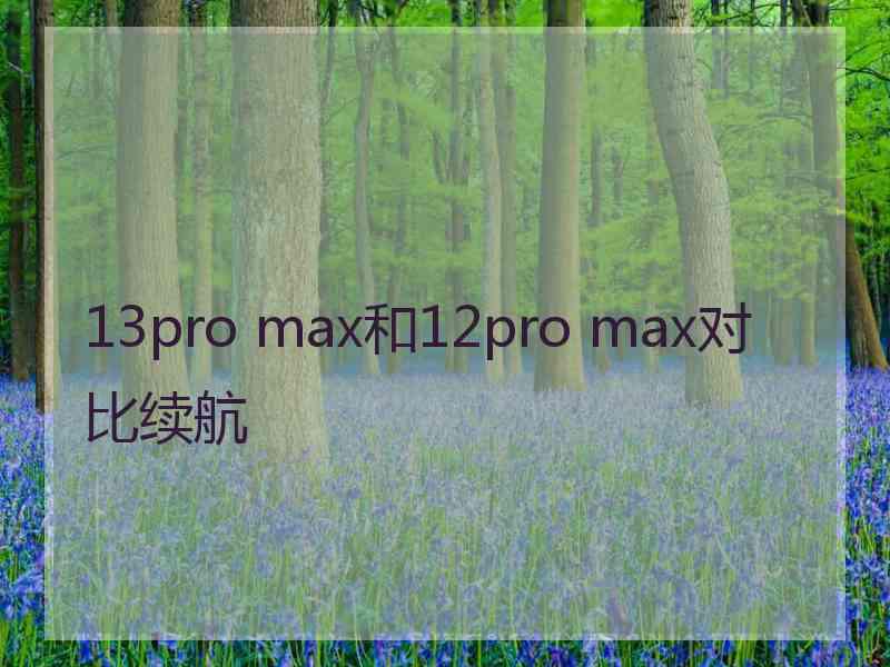 13pro max和12pro max对比续航