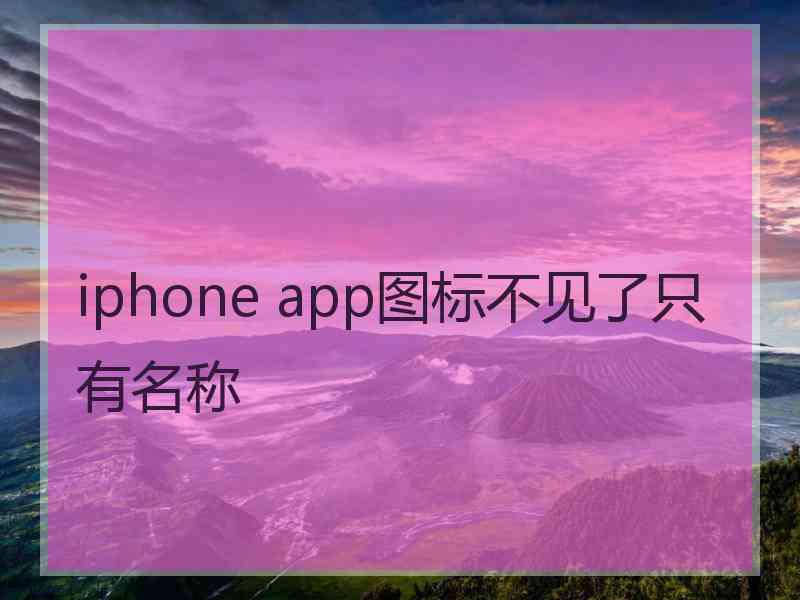 iphone app图标不见了只有名称