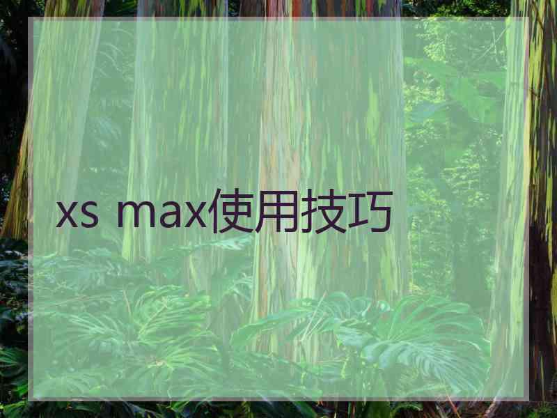 xs max使用技巧