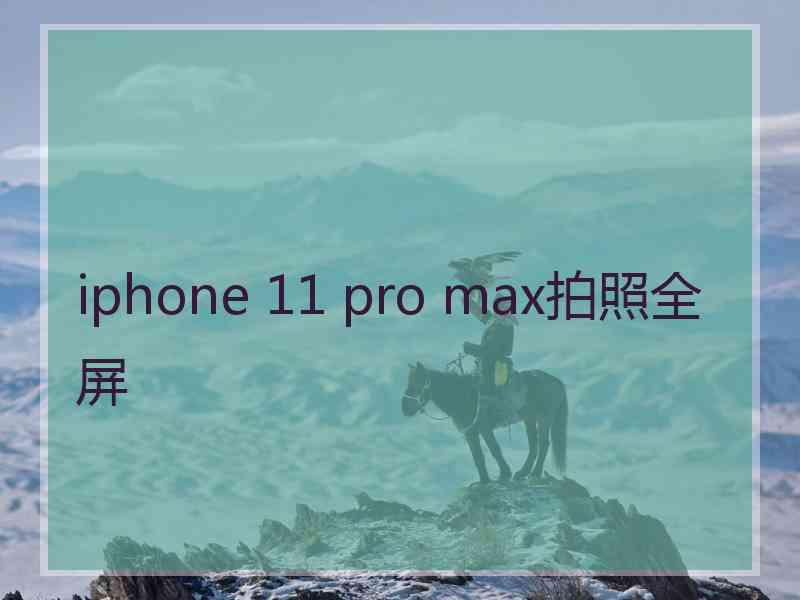 iphone 11 pro max拍照全屏