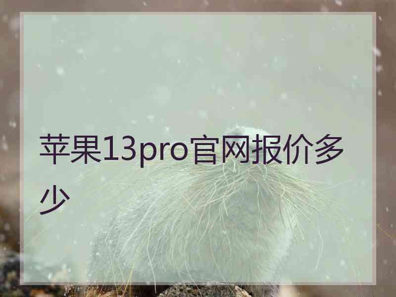 苹果13pro官网报价多少