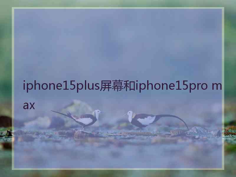 iphone15plus屏幕和iphone15pro max