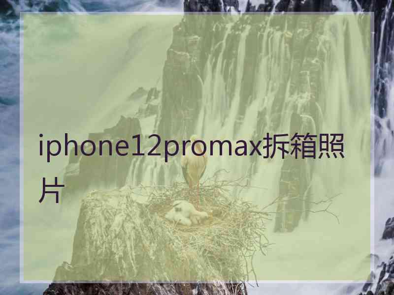 iphone12promax拆箱照片