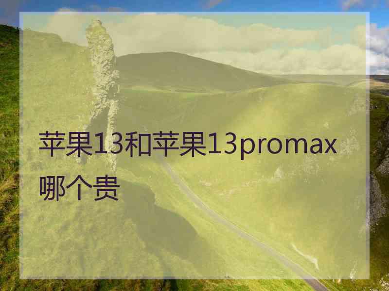 苹果13和苹果13promax哪个贵