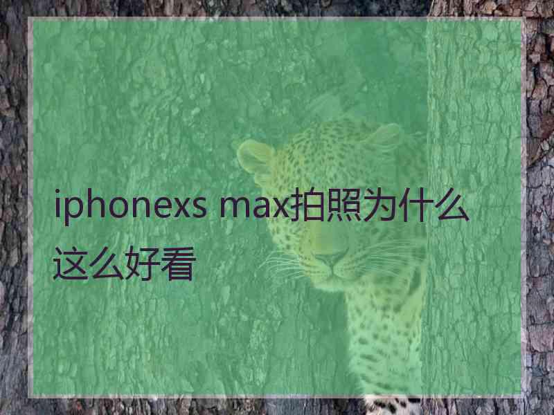 iphonexs max拍照为什么这么好看