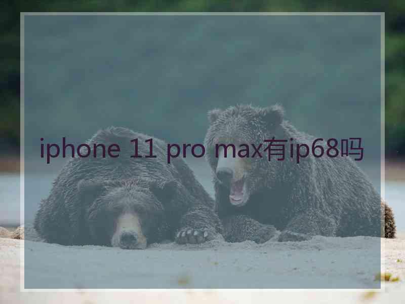 iphone 11 pro max有ip68吗