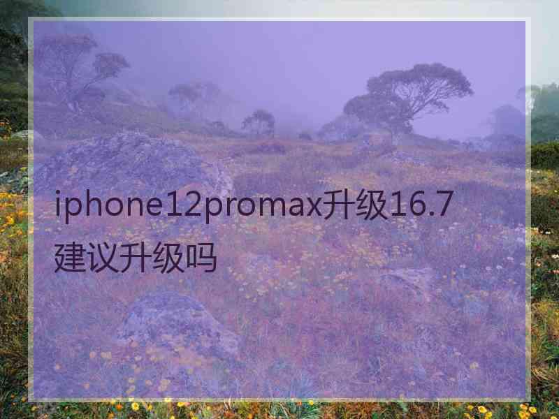 iphone12promax升级16.7建议升级吗