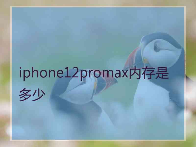 iphone12promax内存是多少