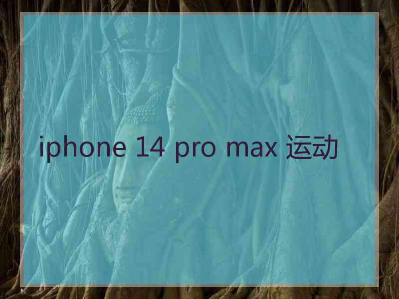 iphone 14 pro max 运动