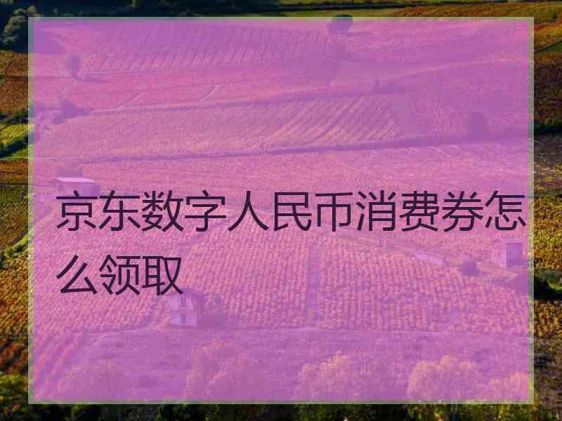 京东数字人民币消费券怎么领取